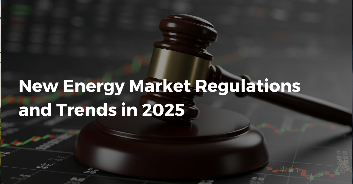 New Energy Market Regulations and Trends in 2025