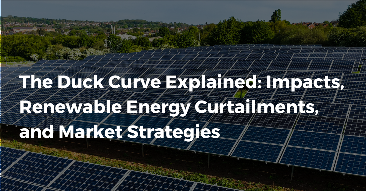 The Duck Curve Explained: Impacts, Renewable Energy Curtailments, and Market Strategies
