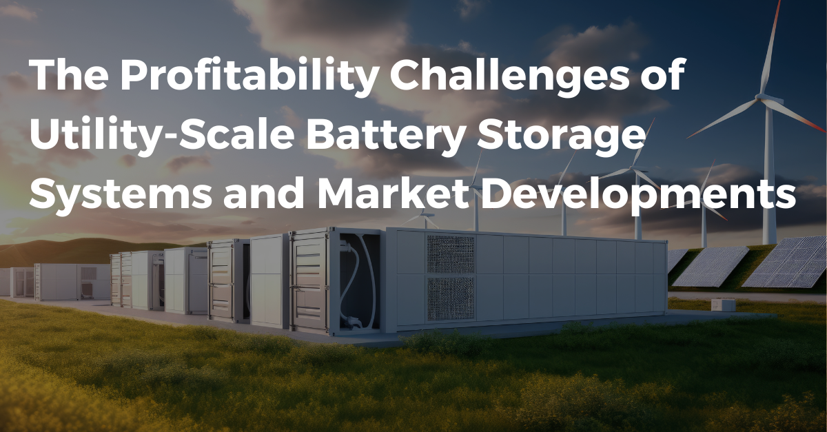 The Profitability Challenges of Utility-Scale Battery Storage Systems and Market Developments