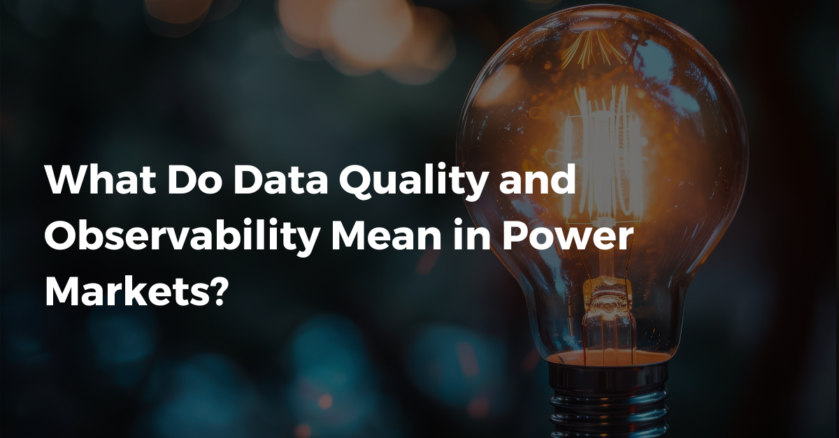 What Do Data Quality and Observability Mean in Power Markets?