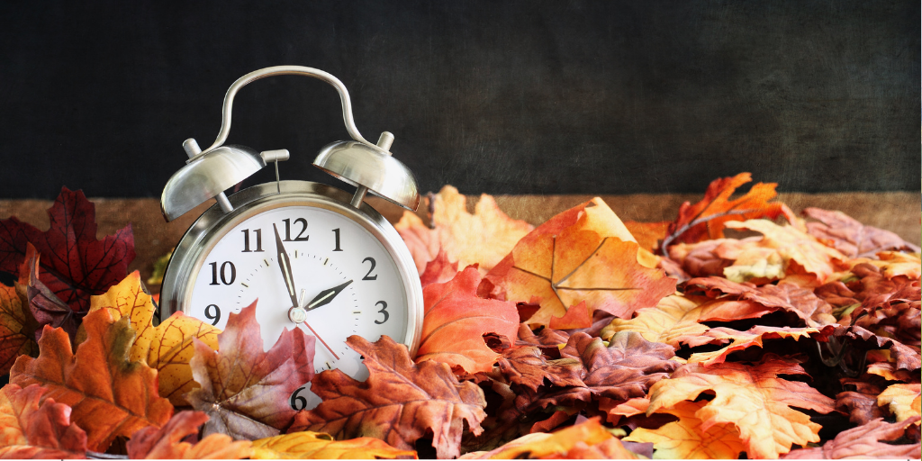 alarm clock in fall leaves