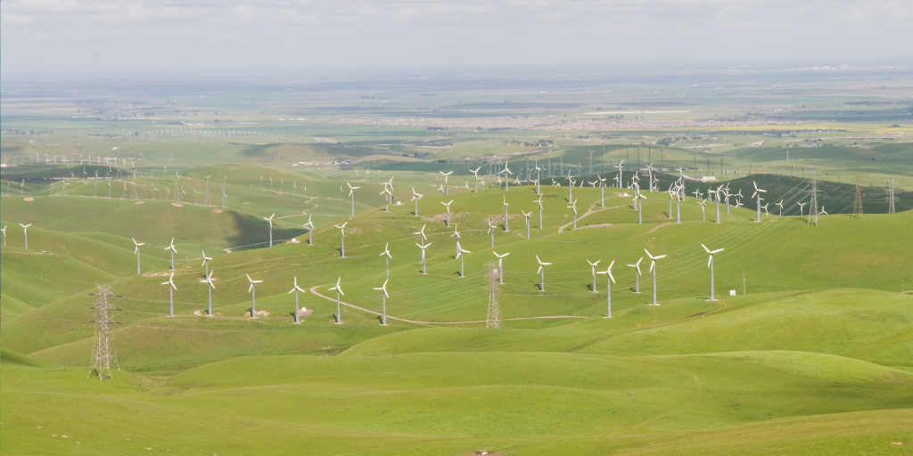 field with wind turbines